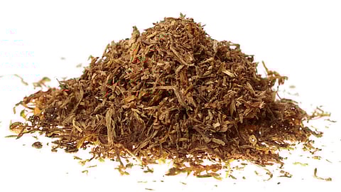 Tobacco