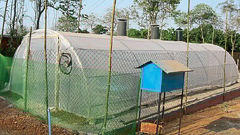 जास्त प्रमाणात पदार्थ सुकविणारे टनेल टाइप सौर ड्रायर