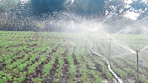Irrigation for farming