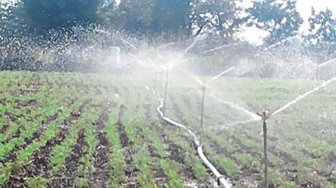 Irrigation for farming