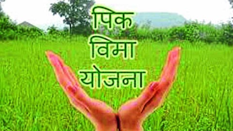 Pradhan Mantri Fasal Bima Yojana appeals to farmers to provide information within 72 hours