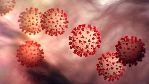 Corona News