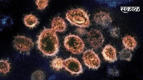 Coronavirus