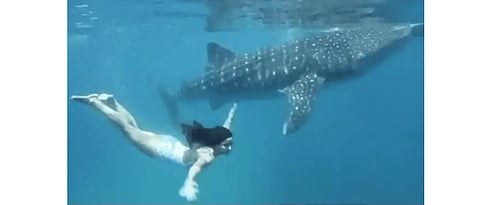Katrina kaif swimming in ocean with big fish video viral on internet on world ocean day