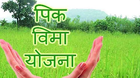 crop insurance