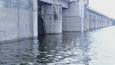 मांजरा धरण.jpg