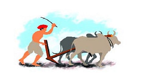 शेतकरी आत्महत्या.jpg