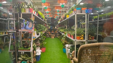 शुद्ध आणि स्वच्छ हवेसाठी रेल्वे स्थानकावर सुरू होणार 'ऑक्सिजन पार्लर'! वाचा सविस्तर