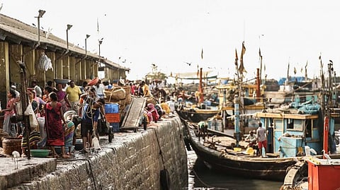 ससून डॉकचा मत्स्यव्यवसाय संकटात