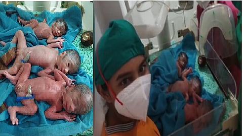 ऐकाल तर नवलच! कर्जतमधील लोभेवाडीत महिलेने दिला तिळ्यांना जन्म...