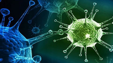 शिक्षक मृत्यूप्रकरणी अधिकाऱ्याची होणार चौकशी; शिक्षण आयुक्तांचे महापालिकेला पत्र