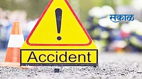 कुत्रा वाचविण्याच्या नादात रिक्षा झाडावर आदळली; अपघात प्रवासी महिलेचा मृत्यू