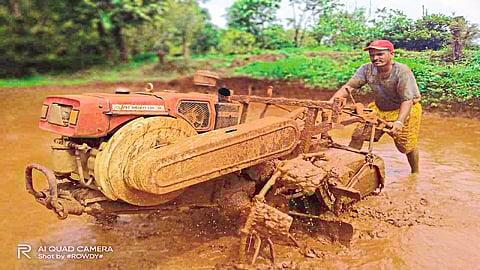 Now 'Krushi Sanjeevni Sapthah' By The Department Of Agriculture Marathi News