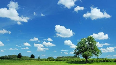 let us go The pure air