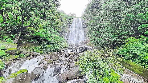 corona infection in sawantwadi amboli tourism