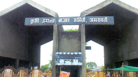 amravati apmc board of directors get time due to postpone of election