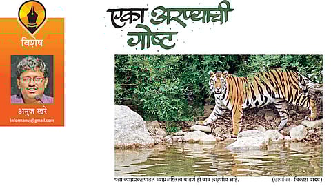anuj khare