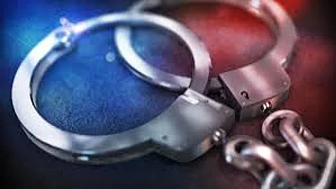 चिंकारा शिकार प्रकरणात संशयित आरोपीस अटक