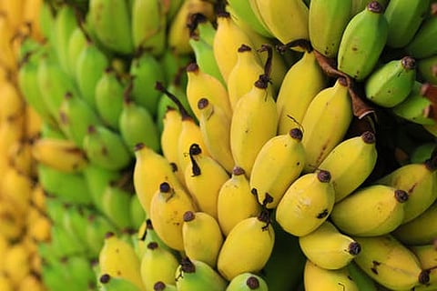 banana