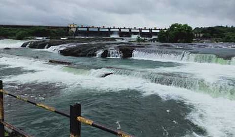 banned from coming to the Khadakwasla dam area for Dhulivandan Rangpanchami
