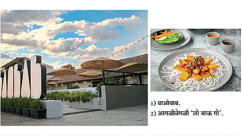 baobab multi causing global restaurant