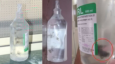 सलाईनमध्ये आढळलेले शेवाळ