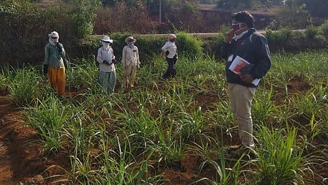 implemented social distancing in agricultural work chandgad