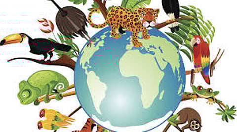 Economy Collapsed due to Declining in Biodiversity