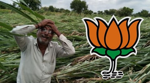 Akola News: Farmers Diwali in the dark, BJP agitation today