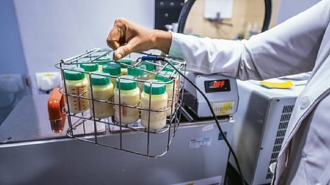 karnataka government to start brest milk bank at bengaluru Photo Source : Livemint.com
