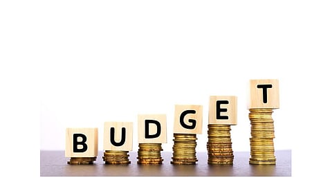 Provision For The Vehicle Industry In the Budget Kolhapur Marathi News