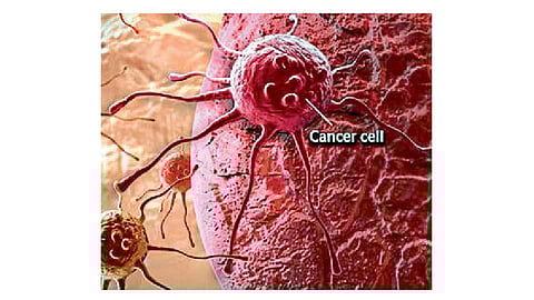 cancer-cell