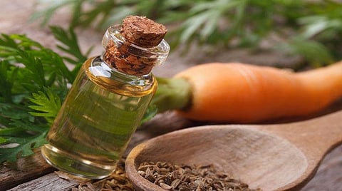 Carrot Seed Oil: There is an elixir for many diseases, know 5 amazing benefits!