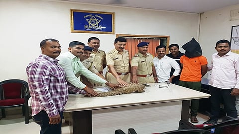 'या' मांजरामुळे पोलिसांनी केली त्याला अटक!