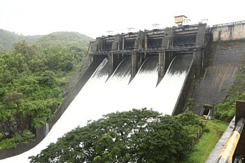 chandoli dam.jpg