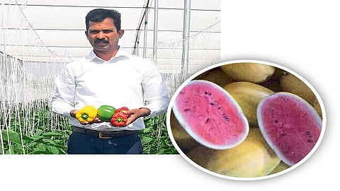 शेतकरी प्रफुल्ल पाटील