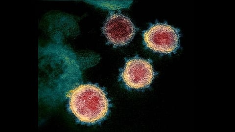 मोठी बातमी - मुंबईत कोरोना रुग्णांचा गुणाकार सुरू, एकट्या मुंबईत आज सापडलेत 'इतके' रुग्ण