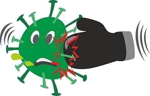 coronavirus impact sindhudurg district