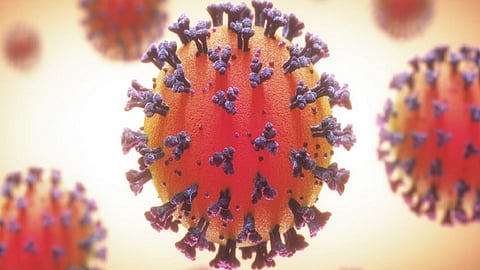 corona virus.