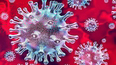 half number of corona patients are fights on corona in chiplun but saari fever accused 17 people found in survey