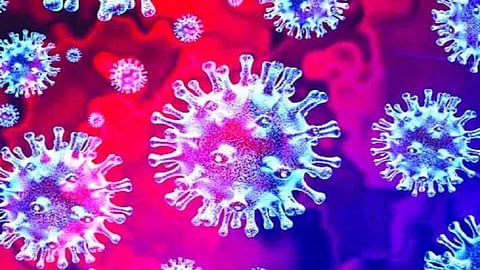 teachers start its corna testing in ratnagiri dabhol after 348 antigen test only 1 woman teacher report positive in dabhol