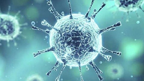 पुण्यात आज तब्बल 55 रुग्णांचा मृत्यू