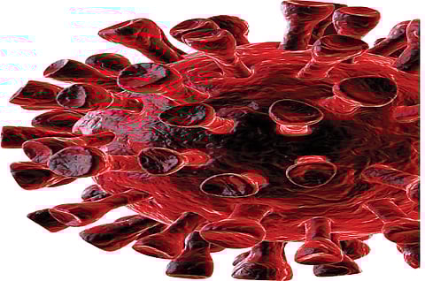 Dont be afraid people 196 report negative in kolhapur marathi news