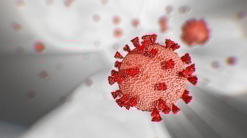 coronavirus update