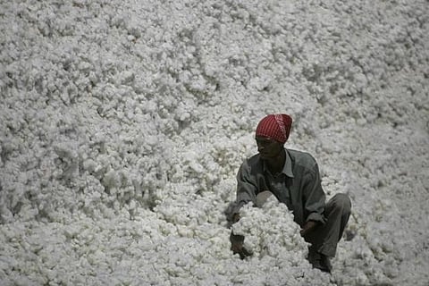 cotton stocks