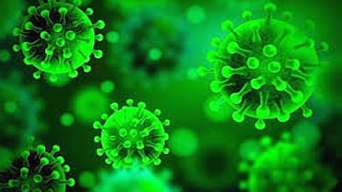 corona virus device made by Suhas Godde Patil blind man from Morewad and Viraj Shinde from Kalamba