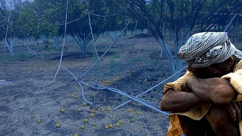 crop damaged due to heavy rain in nagpur amravati wardha