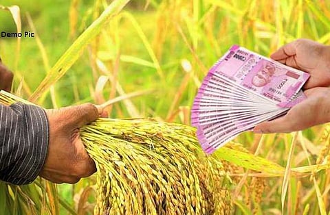 crop loan