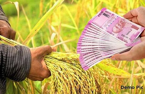 crop loan