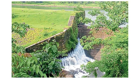 chinchali dam in danger condition because of leakage